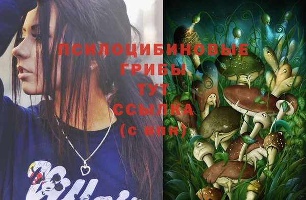 хмурый Белокуриха