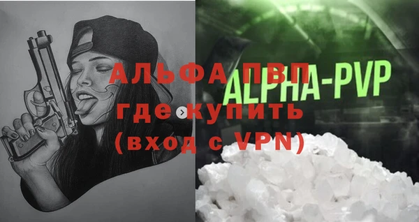 хмурый Белокуриха