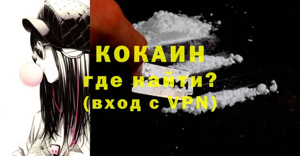 хмурый Белокуриха