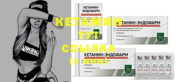 хмурый Белокуриха