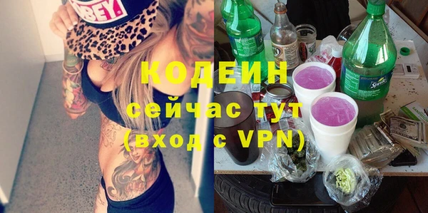 хмурый Белокуриха