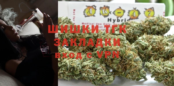 хмурый Белокуриха