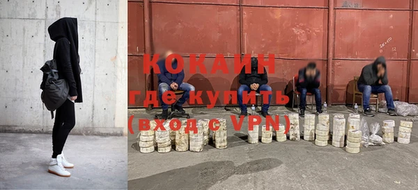 хмурый Белокуриха