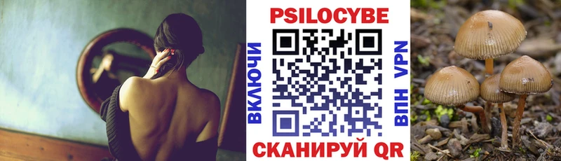 Псилоцибиновые грибы MAGIC MUSHROOMS Дмитриев